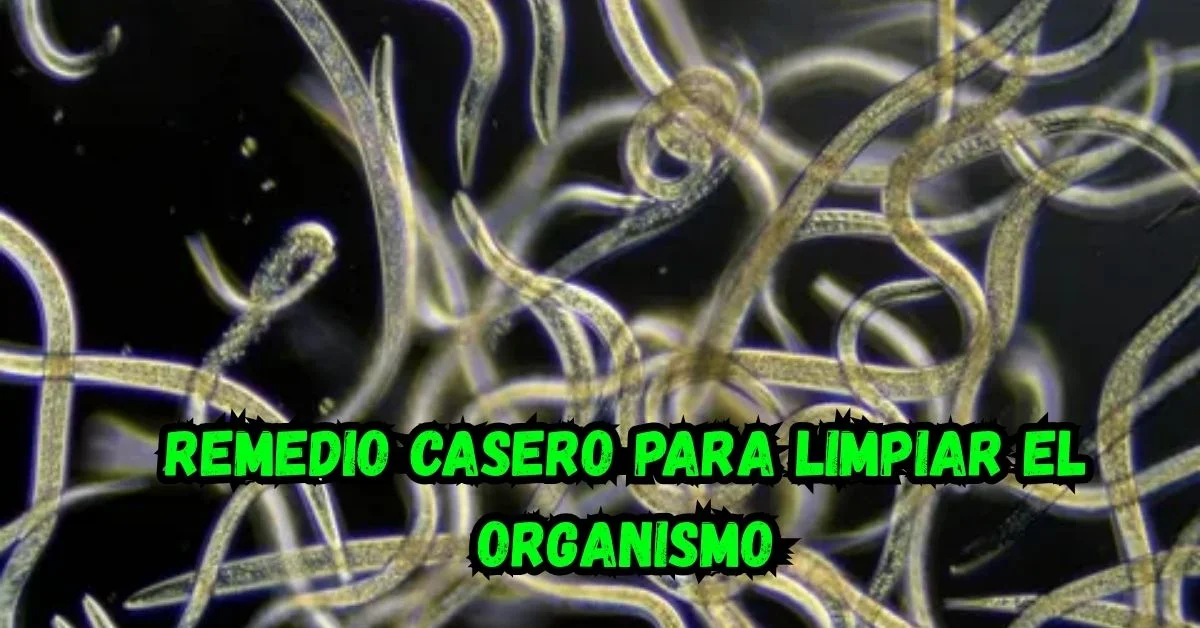 Elasticità della pelle e collagene